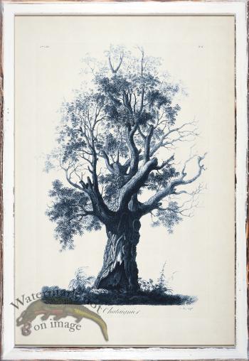 Blue Trees in Distressed White 06